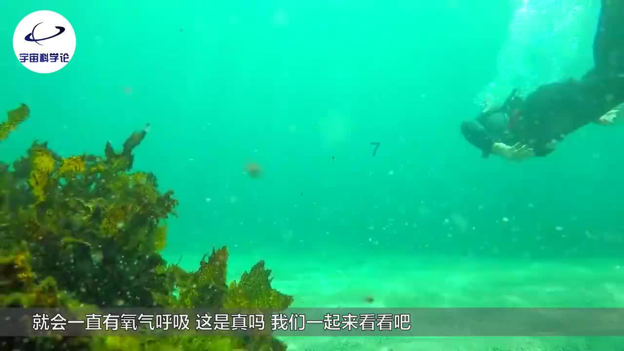 寻找战宝船